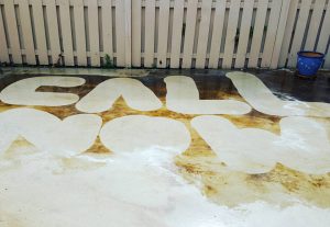 pressure washing wellington fl