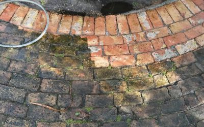 The Ultimate Guide to Pressure Washing in South Florida: What Homeowners in Loxahatchee, Wellington & West Palm Beach Need to Know