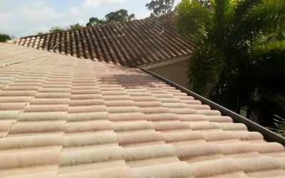 Why Soft Washing is the Best Choice for Florida Homes