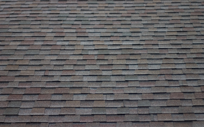 The Truth About Black Roof Streaks on Florida Homes