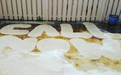 Black Algae on Driveways in Florida: Why It Happens and How to Remove It Permanently